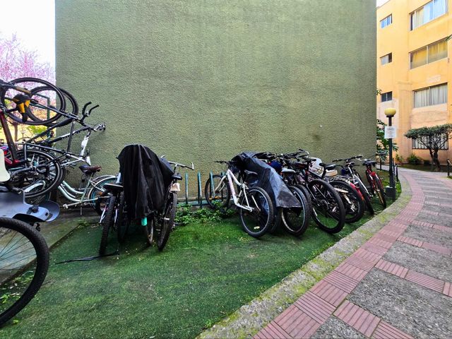 place photo 22