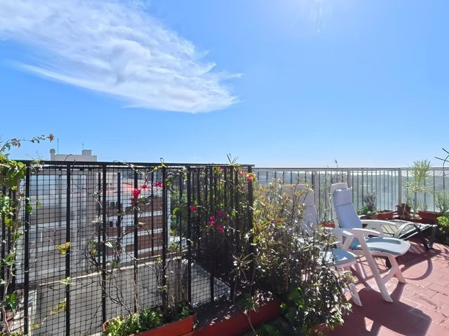 place photo 44