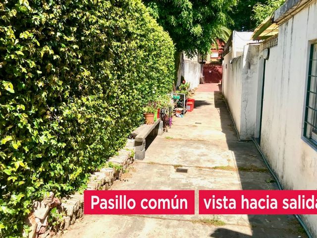 place photo 33