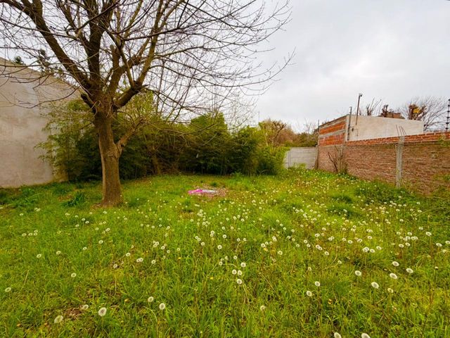 place photo 14