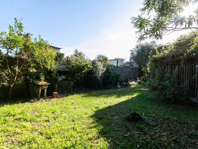 place photo 43