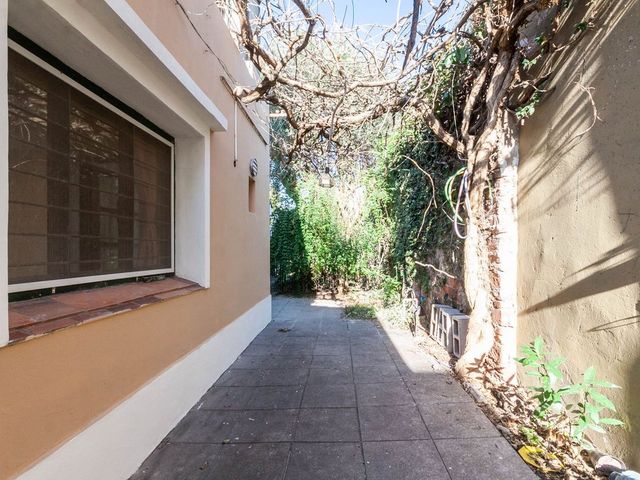 place photo 37