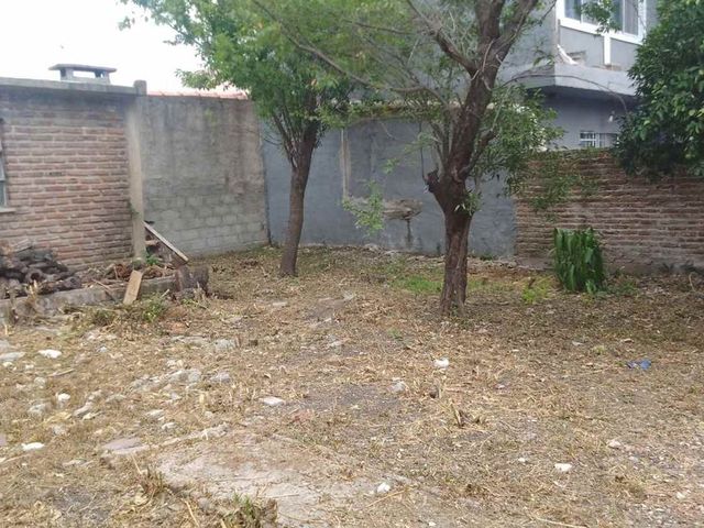 place photo 39