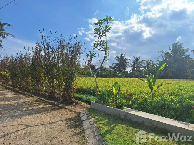 place photo 26