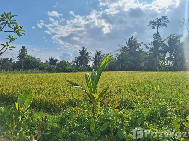 place photo 25
