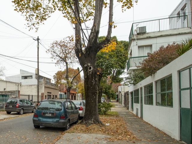 place photo 28