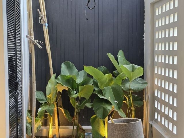 place photo 49