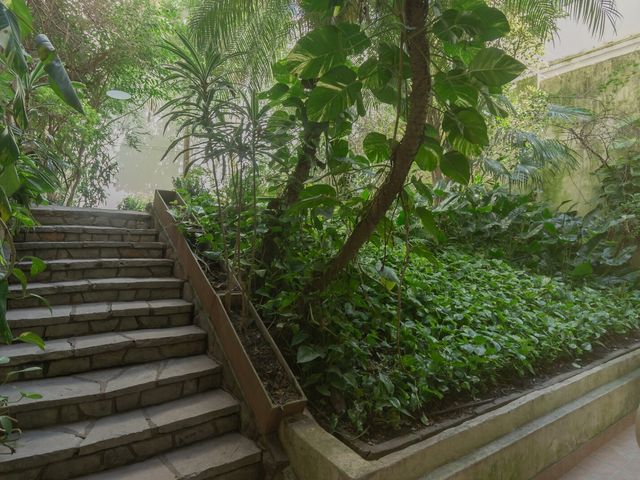 place photo 48
