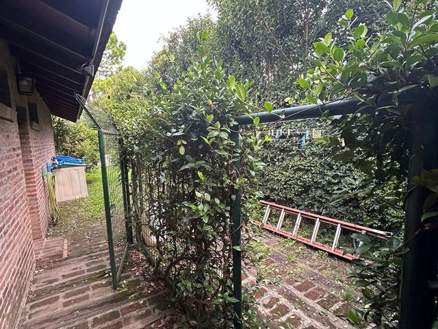 place photo 59