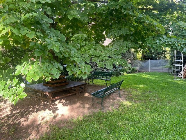 place photo 61