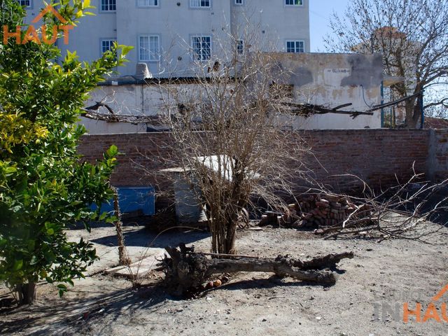 place photo 48