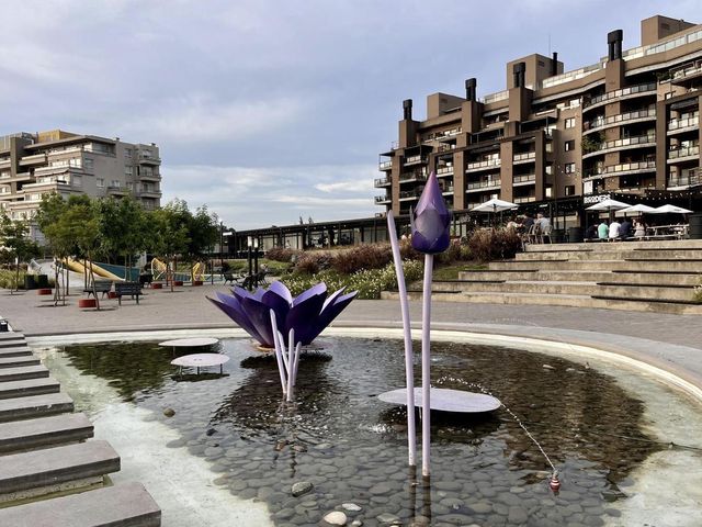 place photo 17