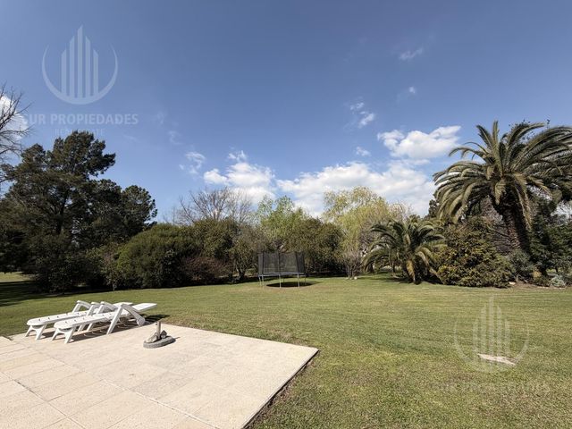 place photo 38