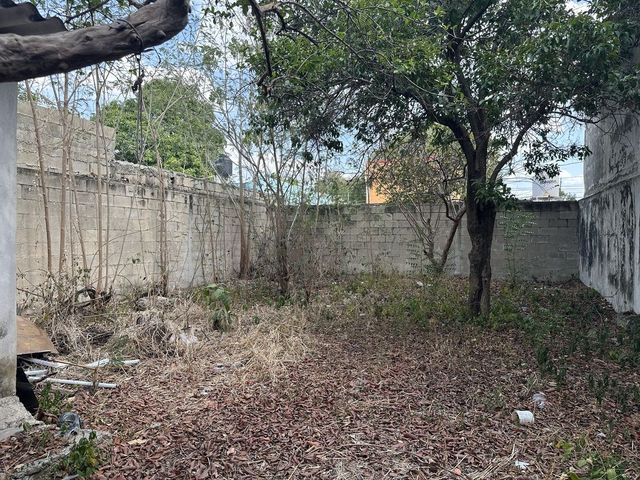 place photo 13