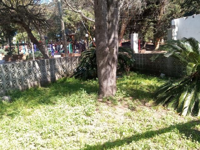 place photo 24