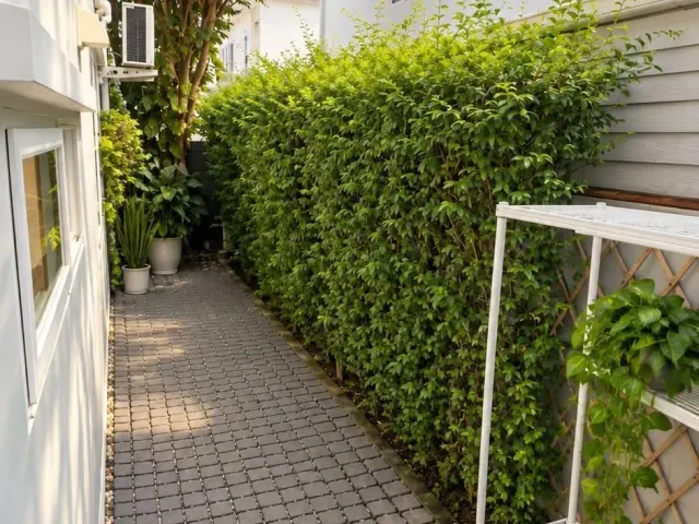 place photo 22