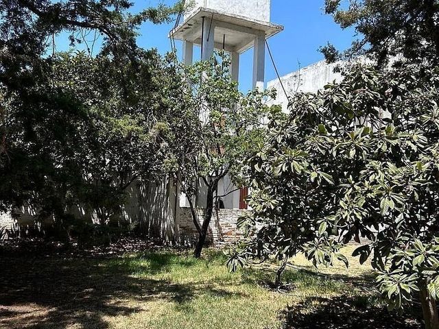 place photo 24