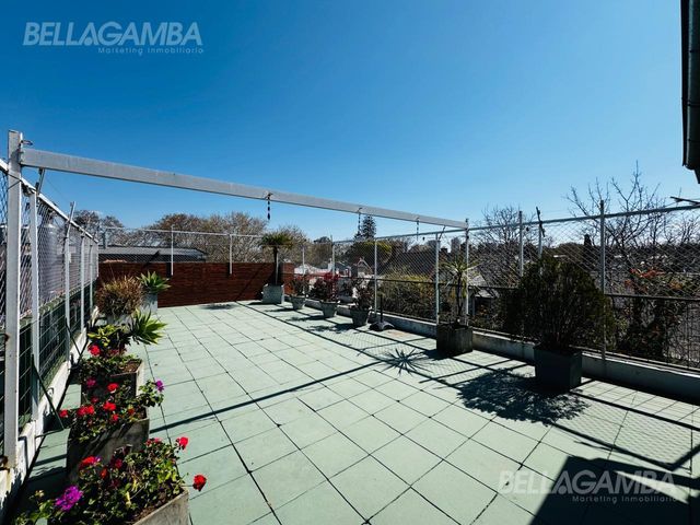 place photo 40
