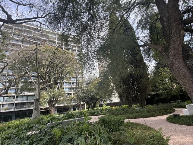 place photo 33