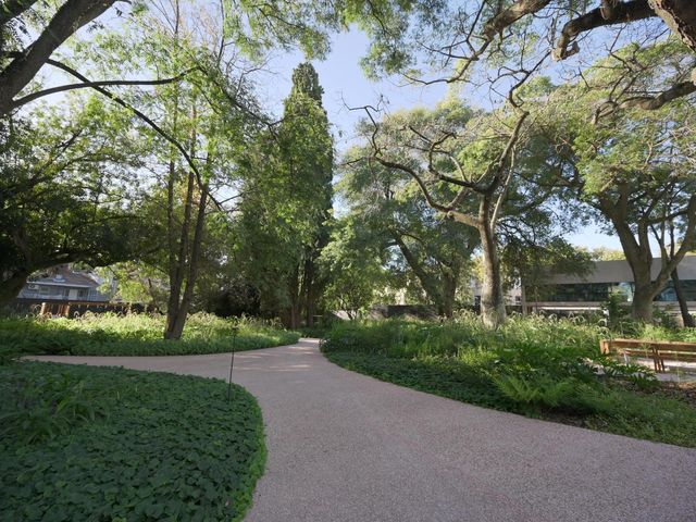 place photo 48
