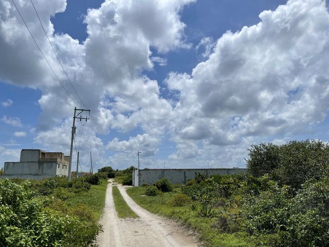 place photo 23