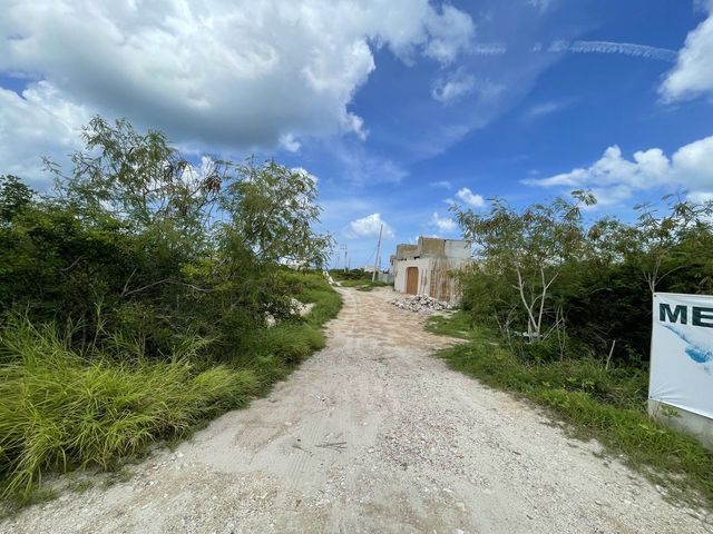 place photo 24
