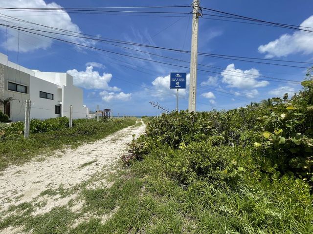 place photo 22