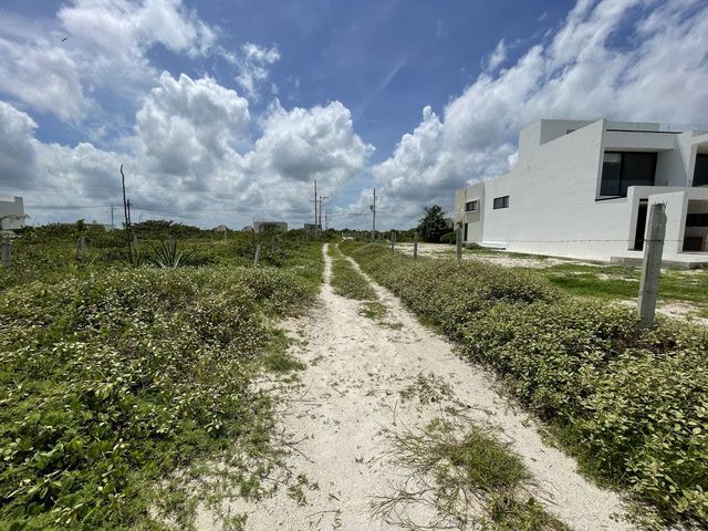place photo 21