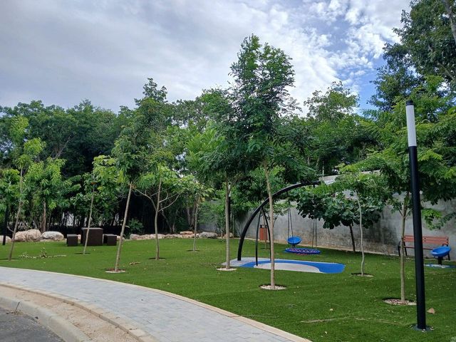 place photo 16