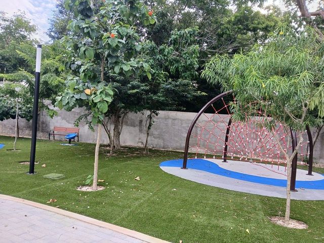 place photo 17