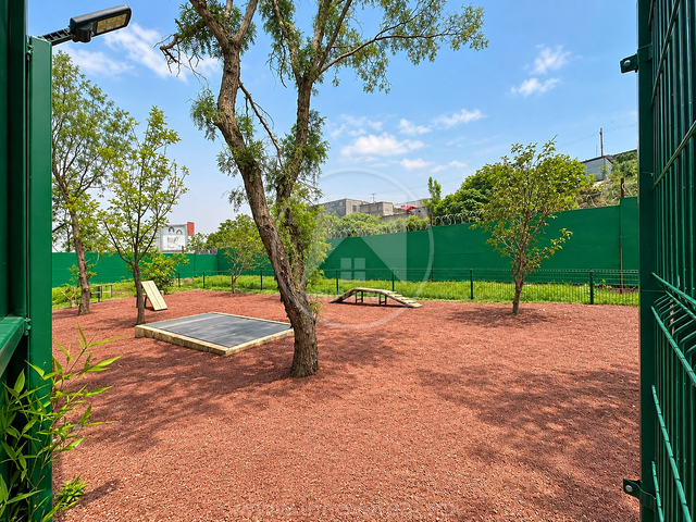 place photo 33