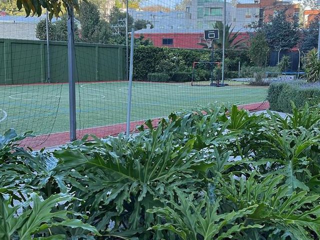 place photo 18