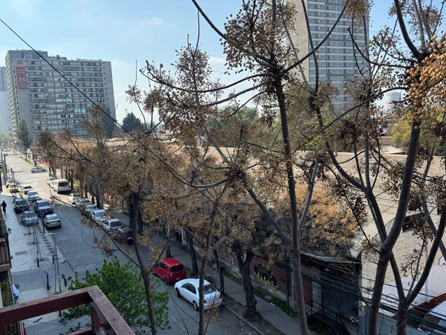 place photo 28
