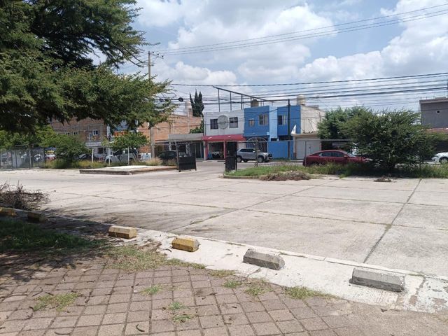 place photo 16