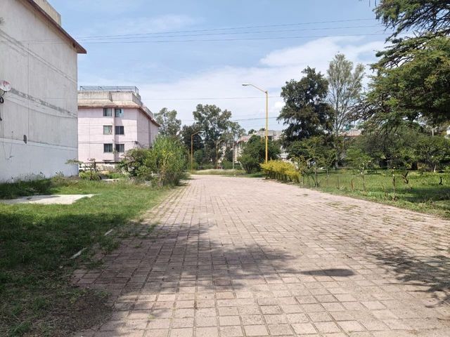 place photo 15