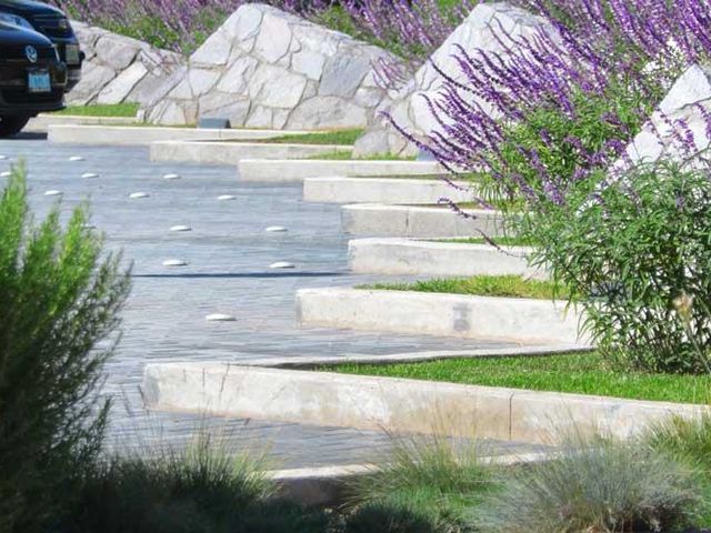 place photo 34