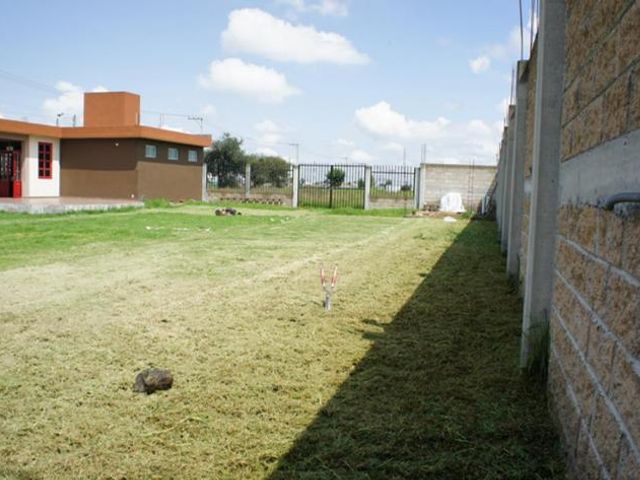 place photo 7