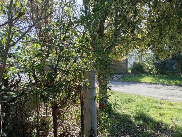 place photo 31