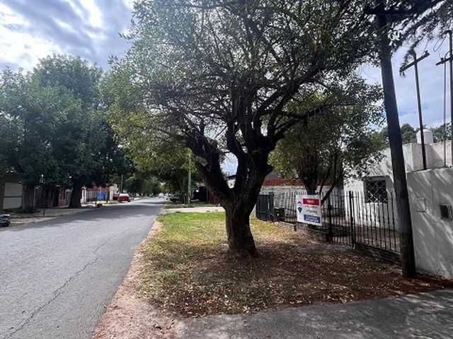 place photo 14