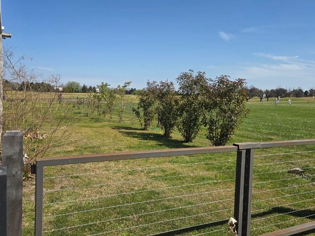 place photo 45