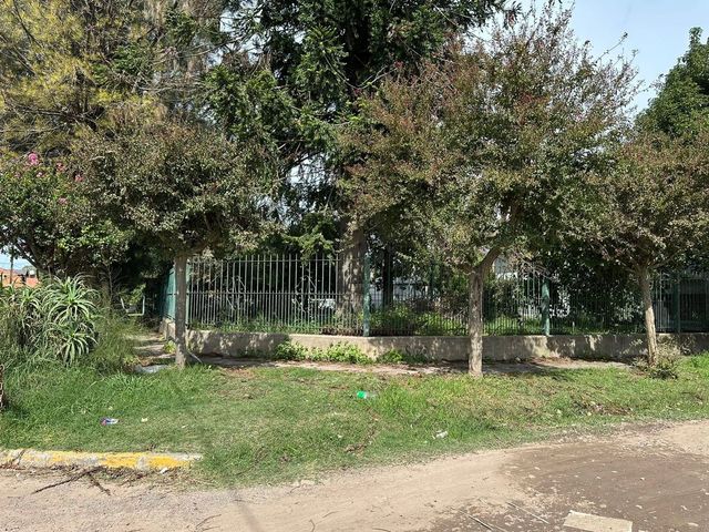 place photo 56
