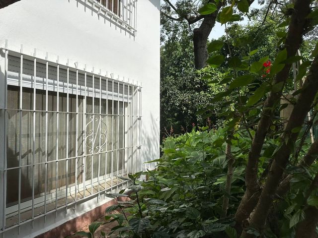 place photo 47