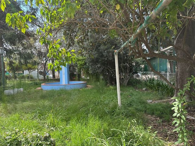 place photo 42