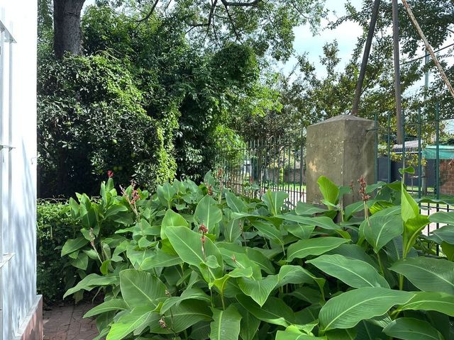 place photo 48