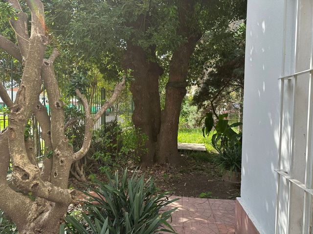 place photo 53