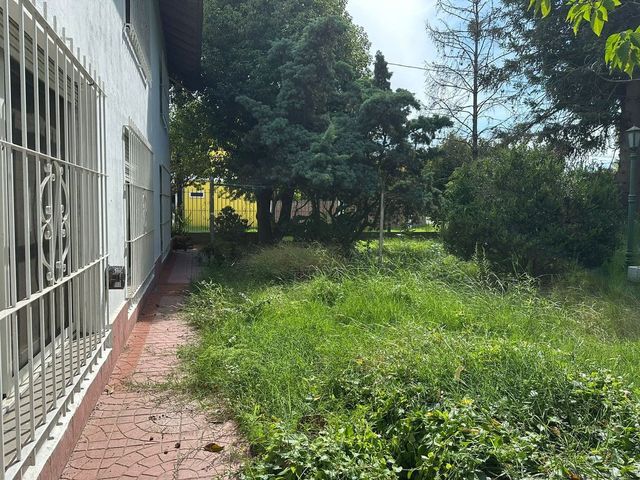 place photo 37