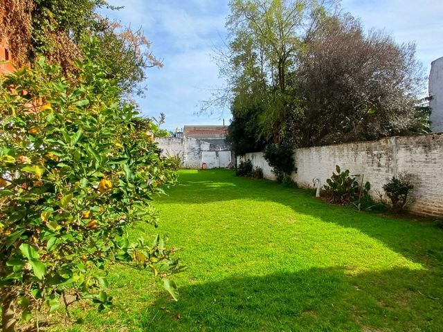 place photo 52