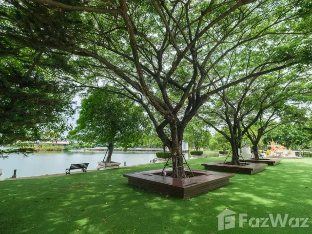 place photo 37