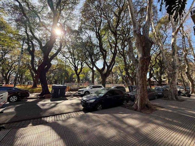 place photo 42