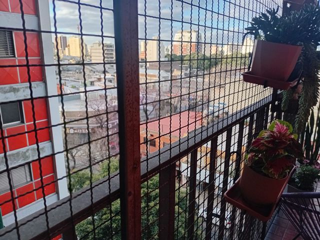 place photo 16